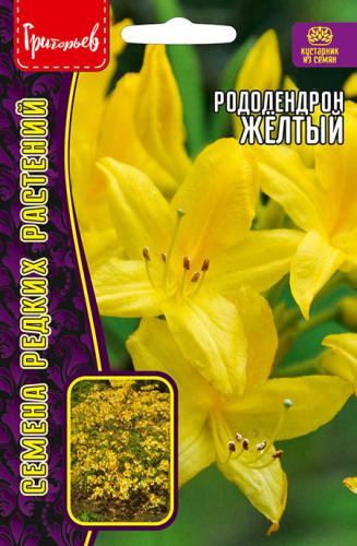 Рододендрон Желтый