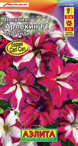 Петуния Арлекин Бургунди F1 крупноцветковая