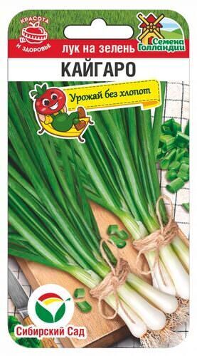 Лук Кайгаро на зелень