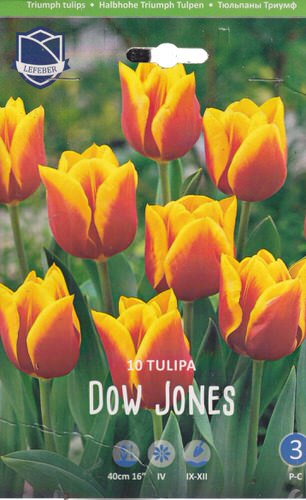 Тюльпан триумф "Dow Jones" (1х10шт)