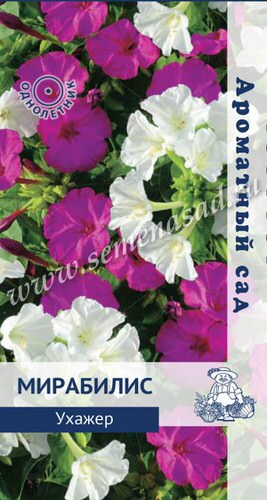 Мирабилис Ухажер