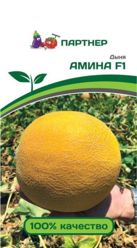 Дыня Амина F1 
