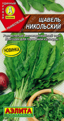 Щавель Никольский