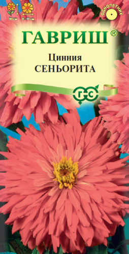 Цинния Сеньорита