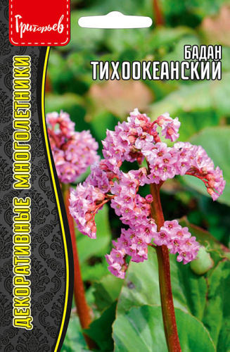 Бадан Тихоокеанский