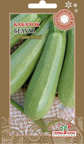 Кабачок Белуха 2г
