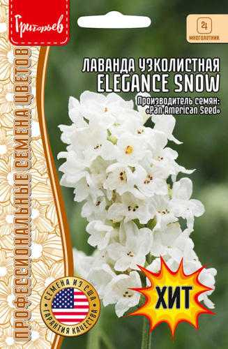 Лаванда узколистная Elegance Snow