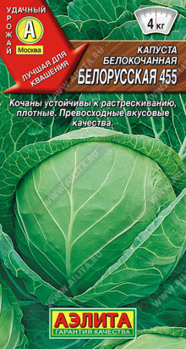 Капуста Белорусская 455