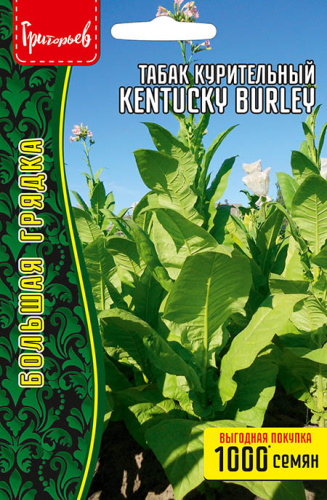 Табак курительный Kentucky Burley