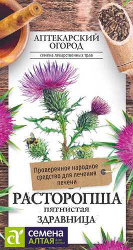 Расторопша пятнистая Здравница 