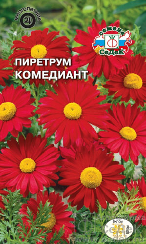 Пиретрум Дуро 