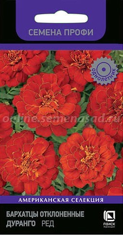 Бархатцы Дуранго Ред откл.