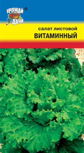 Салат Витаминный листовой