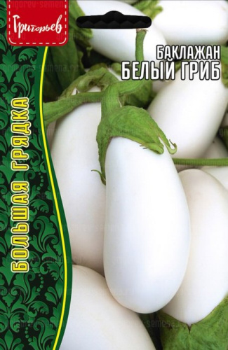 Баклажан Белый Гриб