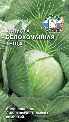 Капуста Теща 