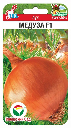 Лук (репчатый) Медуза F1