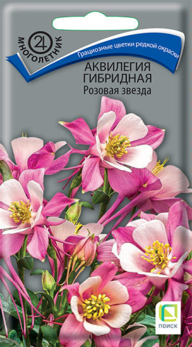 Аквилегия Розовая звезда