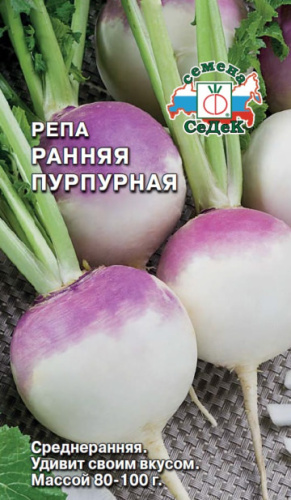 Репа Ранняя пурпурная 