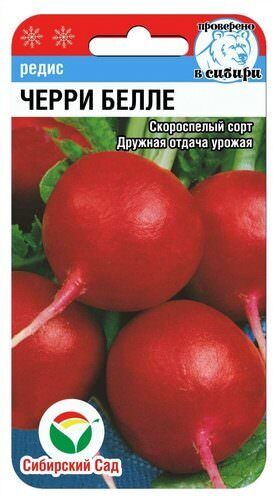 Редис Черри белле 