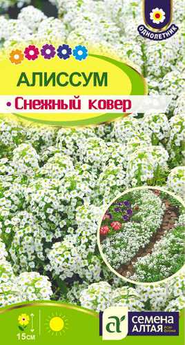 Алиссум Снежный Ковер