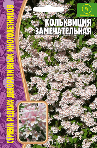 Кольквиция Замечательная