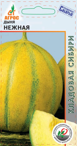 Дыня Нежная