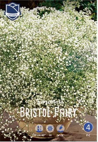 Гипсофила Bristol Fairy /1шт
