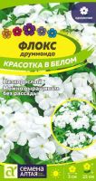 Флокс Красотка в белом Друммонда  купить