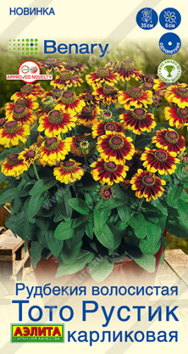 Рудбекия Тото Рустик карликовая