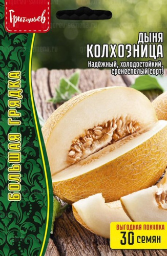 Дыня Колхозница ВП