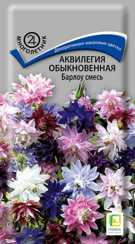 Аквилегия обыкновенная Барлоу смесь