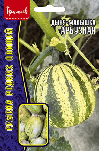 Дыня-малышка Арбузная