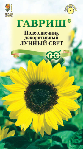 Подсолнечник Лунный свет 