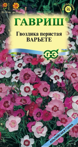 Гвоздика перистая Варьете смесь 