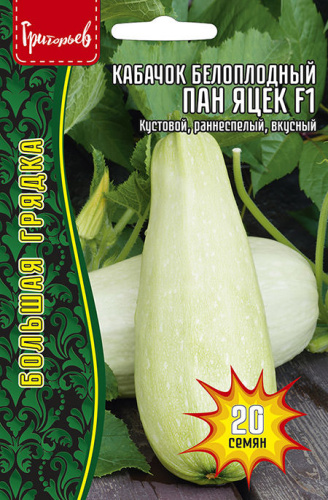 Кабачок Пан Яцек F1  белоплодный