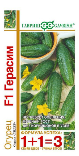 Огурец Герасим F1 1+1 корнишон