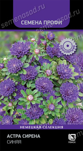 Астра Сирена Синяя