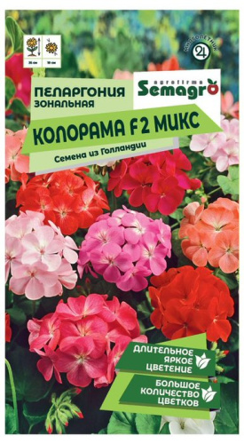 Пеларгония Зональная Колорама F2 уайт 