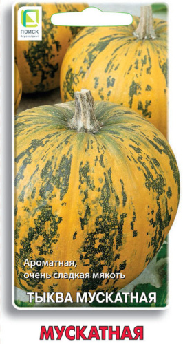 Тыква Мускатная мускатная