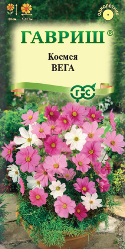 Космея Вега карликовая 