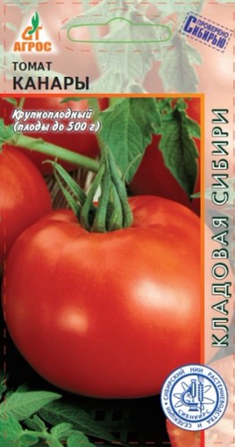 Томат Канары 