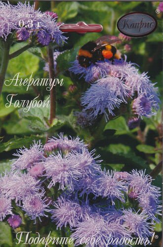 Агератум Голубой (Голубое море) /1шт