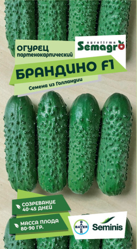 Огурец Брандино F1 