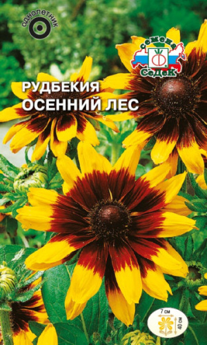 Рудбекия Осенний лес