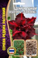 Адениум Пустынная роза Пурпурный король (Desert Rose Purple King) купить