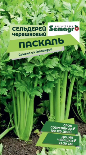 Сельдерей Паскаль черешковый