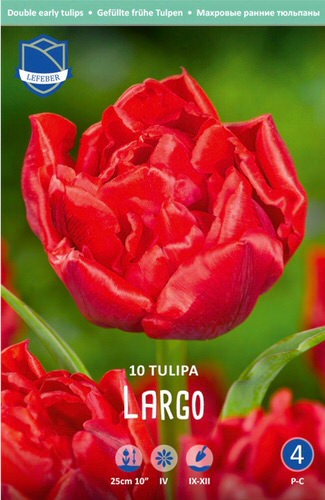 Тюльпан махровый ранний "Largo" (1х10шт)