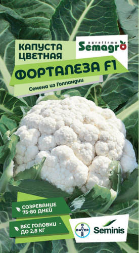 Капуста (цветная) Форталеза F1 
