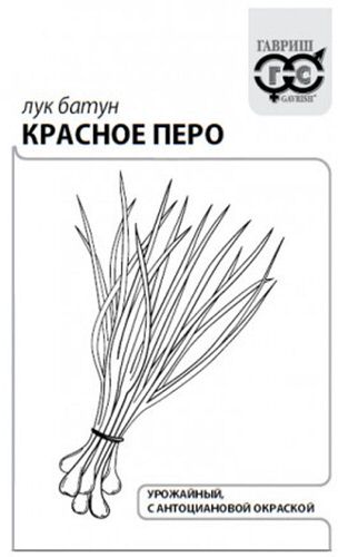 Лук (на зелень) Красное перо б/п с евроотв.