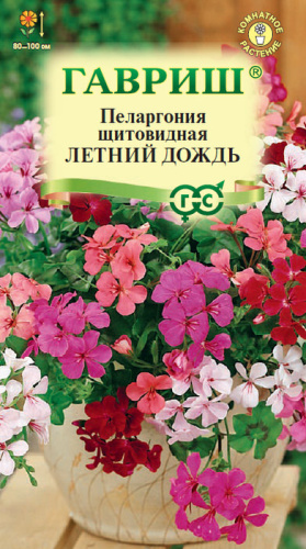 Пеларгония ампельная Летний дождь смесь 